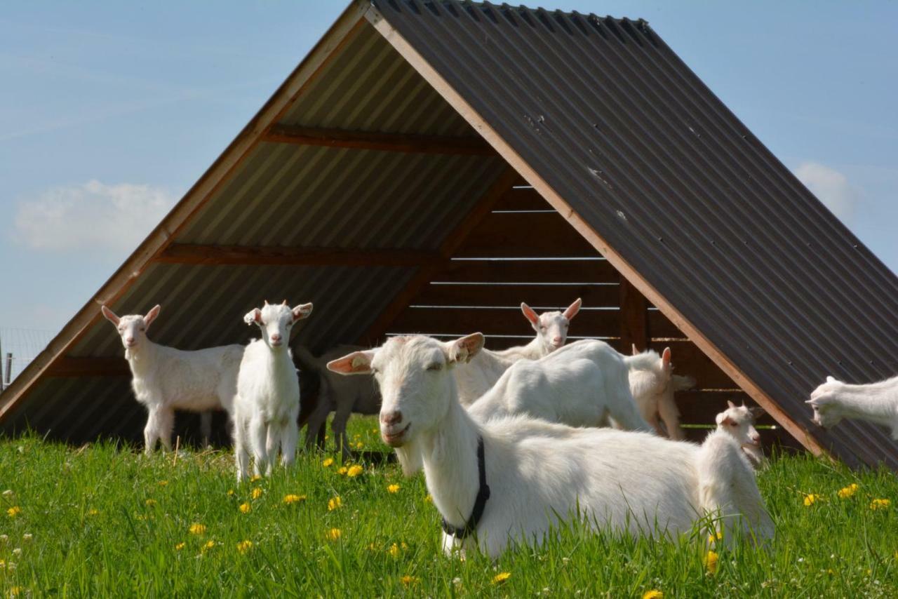 Farma Klínec Klinec Exterior foto